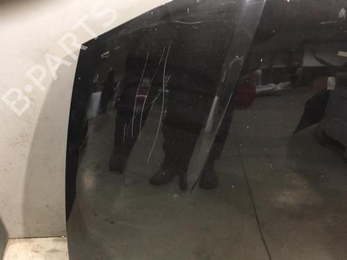 Used Hood SEAT IBIZA III (6L1) 1.4 TDI (75 hp) 25546293