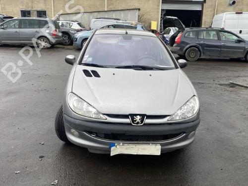 Tailgate PEUGEOT 206 Hatchback (2A/C) 2.0 HDI 90 | BP25501907C6 