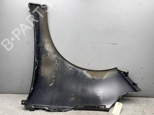 Right front fenders RENAULT SCÉNIC III (JZ0/1_) 1.9 dCi (JZ0J, JZ1J, JZ1K, JZ1S) | BP25510473C42