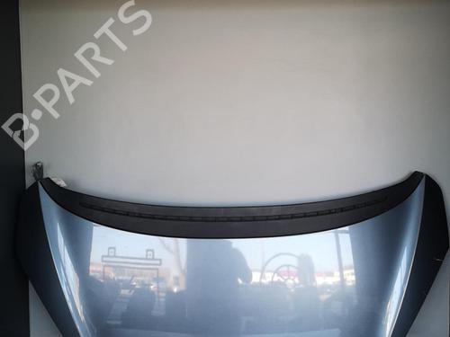 Used Hood PEUGEOT 1007 (KM_) 1.4 HDi (68 hp) 25519333