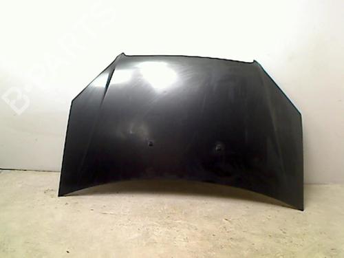 Used Hood FIAT DOBLO Box Body/MPV (223_) 1.3 D Multijet (75 hp) 25577782
