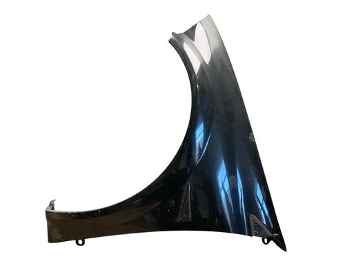 Left front fenders RENAULT MEGANE II (BM0/1_, CM0/1_) 2.0 16V Turbo | BP25529822C41 