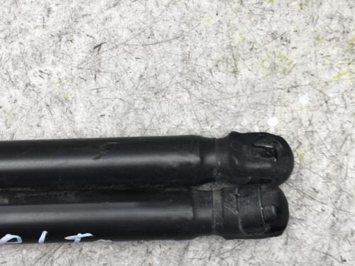 Tailgate lift support LANCIA DELTA III (844_) 1.6 D Multijet (844.AXC11, 844.AXC1A) | BP25551643C138 