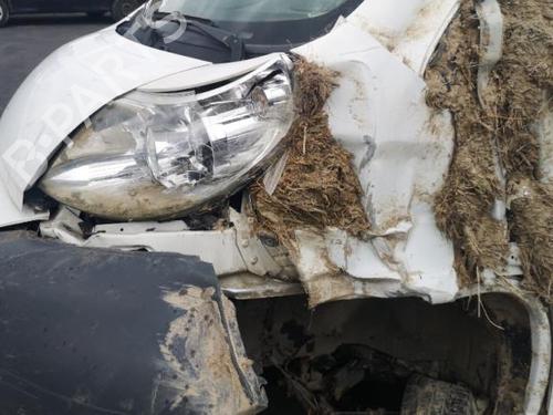 Front right window mechanism PEUGEOT BOXER Platform/Chassis 2.2 HDi 110 | BP25537025C23  - Image 28