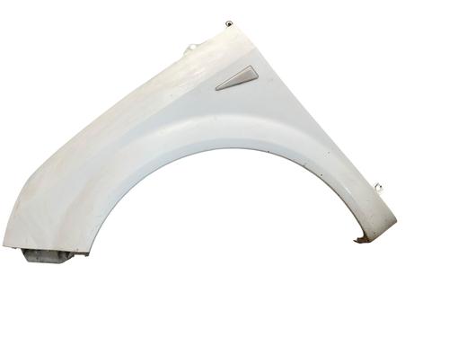 Used Left front fenders RENAULT SCÉNIC II (JM0/1_) 1.5 dCi (JM1E, JM16) (106 hp) 25521349