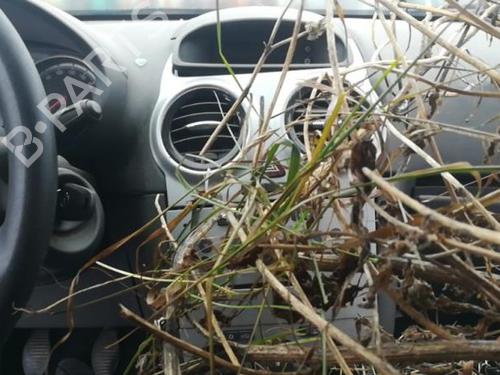 OPEL CORSA D (S07) 2495891