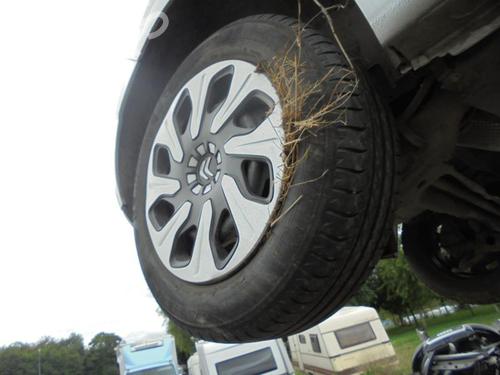 Starter CITROËN C3 II (SC_) 1.0 VTi 68 | BP25576778M8  - Image 18