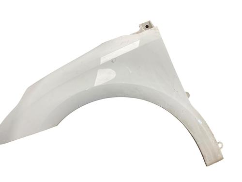 Left front fenders CITROËN C4 Coupe (LA_) 1.6 HDi | BP28295392C41 