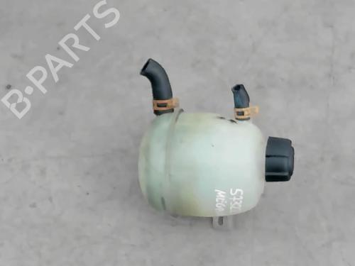 Used Expansion tank RENAULT MEGANE I Coach (DA0/1_) 1.9 dCi (DA05, DA1F) (102 hp) 25576689