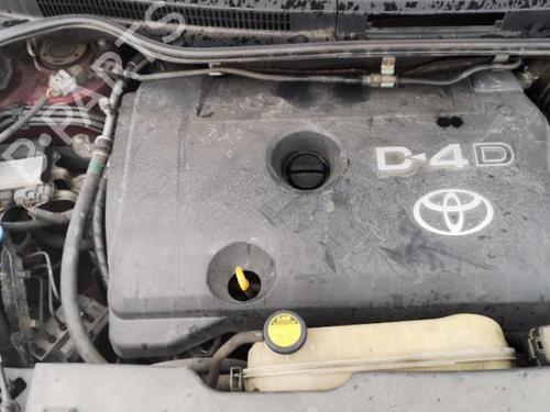 Rudehejsemekanisme Højre bagtil TOYOTA COROLLA Verso (ZER_, ZZE12_, R1_) 2.2 D-4D (AUR10_, AUR10R) | BP25560358C25 