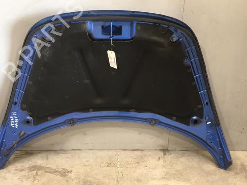 Motorhjelm VW NEW BEETLE (9C1, 1C1) 1.9 TDI | BP25521293C1 