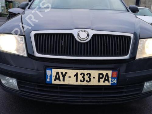Left sun visor SKODA OCTAVIA II (1Z3) 1.9 TDI | BP25579521I1 - Image 19