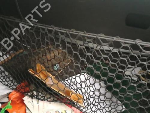 Front right window mechanism FORD FUSION (JU_) 1.4 TDCi | BP25516005C23 