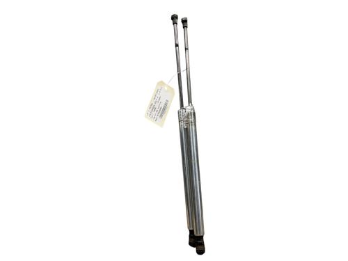 Tailgate lift support VW GOLF IV (1J1) 1.9 TDI | BP25568599C138 