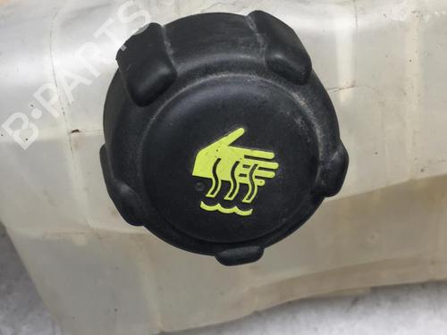 Used Expansion tank RENAULT MEGANE III Hatchback (BZ0/1_, B3_) 1.5 dCi (BZ09, BZ0D, BZ1W, BZ29, BZ14) (110 hp) 25521091