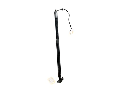 Tailgate lift support CITROËN C4 Picasso II 1.6 HDi / BlueHDi 115 | BP25512955C138 
