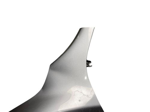 Left front fenders NISSAN JUKE (F15) 1.6 | BP25568123C41 