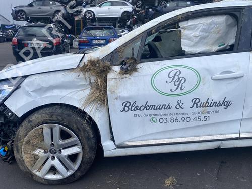 Headrest RENAULT CLIO V (B7_) 1.5 Blue dCi 100 (B7AD) | BP25550976I31  - Image 15