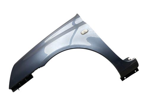 Used Left front fenders RENAULT CLIO II (BB_, CB_) 1.5 dCi (B/CB07) (65 hp) 29724935