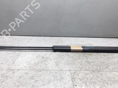 Used Tailgate lift support LANCIA DELTA III (844_) 1.6 D Multijet (844.AXC11, 844.AXC1A) (120 hp) 25551643