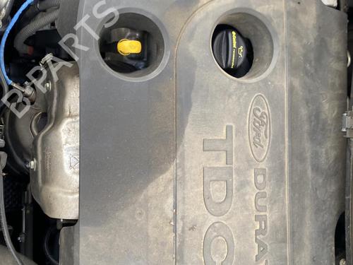 Front left seatbelt FORD FIESTA VI (CB1, CCN) 1.4 TDCi | BP25514986I26  - Image 39