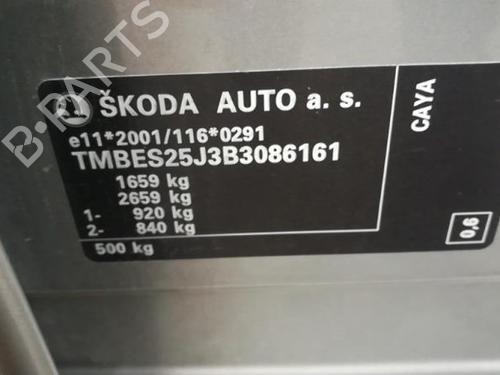 Right mirror SKODA FABIA II (542) 1.6 TDI | BP25577404C27 