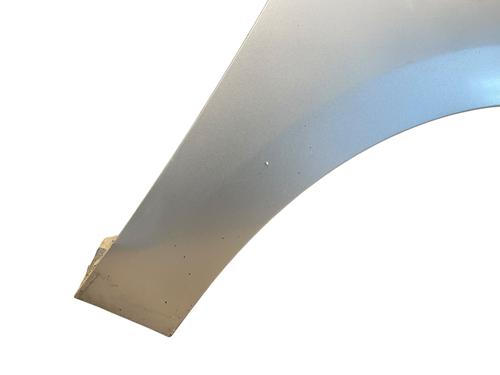 Right front fenders RENAULT SCÉNIC III (JZ0/1_) 1.5 dCi | BP28205572C42 