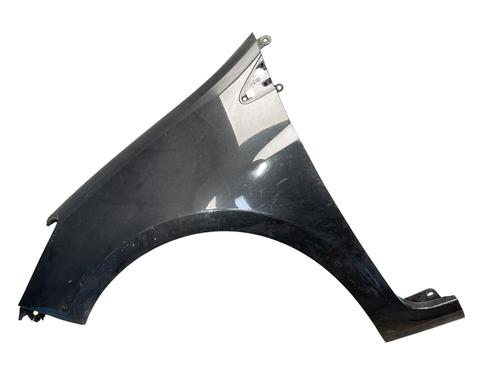 Used Left front fenders RENAULT CLIO III (BR0/1, CR0/1) 1.5 dCi (C/BR0G, C/BR1G) (68 hp) 27589048