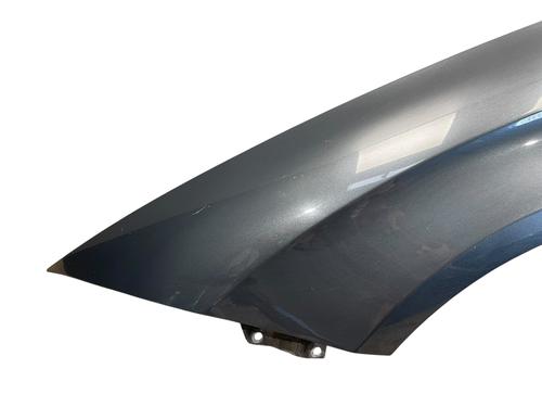 Left front fenders SEAT LEON (1P1) 1.9 TDI | BP26215942C41 