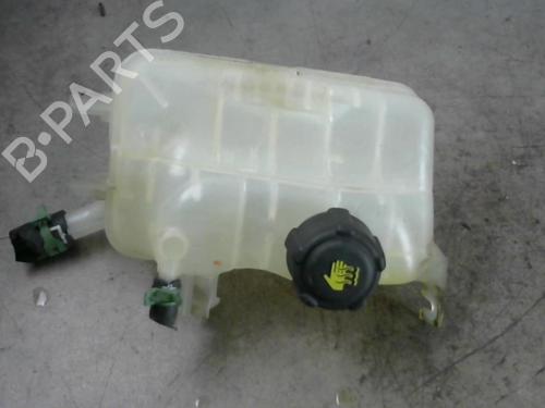 Used Expansion tank RENAULT SCÉNIC III (JZ0/1_) 1.6 dCi (JZ00, JZ12) (130 hp) 25559523
