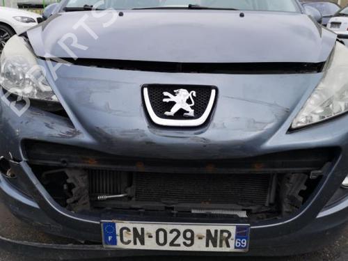 Break pedal PEUGEOT 207 (WA_, WC_) 1.6 HDi | BP25554281I19 