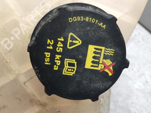 Used Expansion tank FORD KA+ III (UK, FK) 1.2 Ti-VCT (85 hp) 25561454