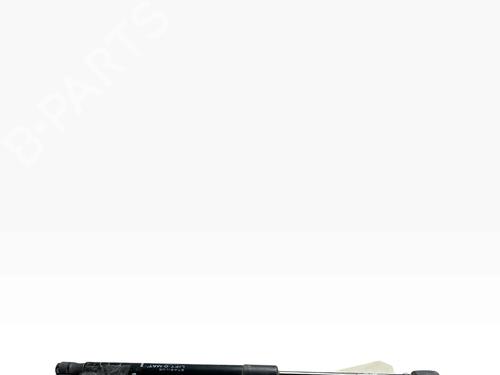 tailgate-lift-support-dacia-duster-hs_-2010-2011-2012-2013-2014-2015-2016-2017-2018-40172655 main image