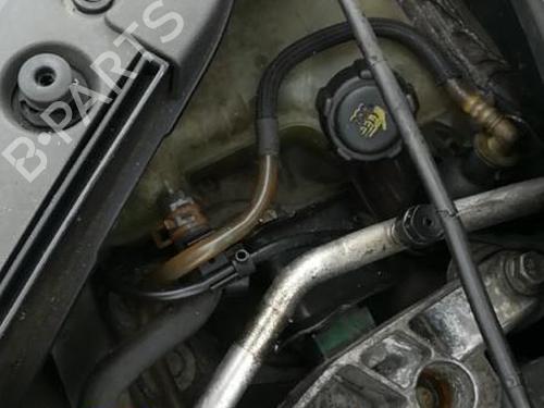 Starter RENAULT SCÉNIC II (JM0/1_) 1.9 dCi (JM0G, JM12, JM1G, JM2C) | BP25576774M8 