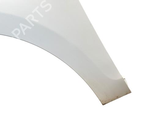 Left front fenders RENAULT SCÉNIC III (JZ0/1_) 1.5 dCi | BP25561338C41 