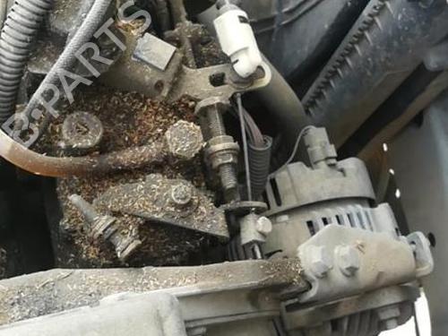 Right headlight RENAULT KANGOO Express (FC0/1_) D 65 1.9 (FC0E, FC02, FC0J, FC0N) | BP25550727C29 