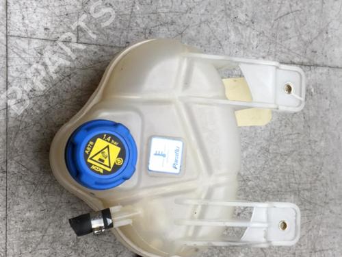 Used Expansion tank FIAT DOBLO Cargo (263_) 1.4 Natural Power (120 hp) 25571481