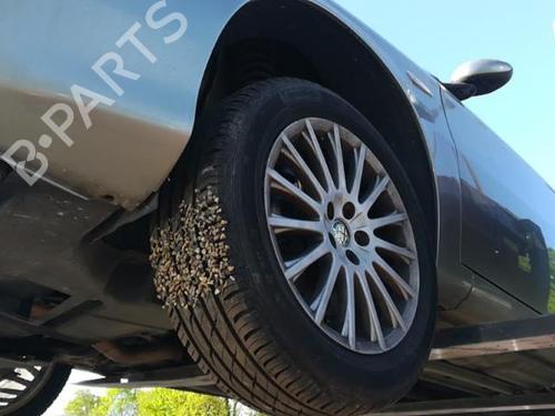 Højre baglygte bagklap ALFA ROMEO 147 (937_) 1.9 JTDM 8V (937.AXD1A, 937.AXU1A, 937.BXU1A) | BP25553666C80 
