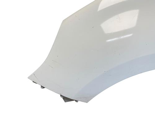 Left front fenders RENAULT SCÉNIC III (JZ0/1_) 1.5 dCi | BP25561338C41 