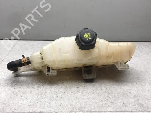 Used Expansion tank RENAULT CLIO III Grandtour (KR0/1_) 1.5 dCi (KR0G) (68 hp) 25534825