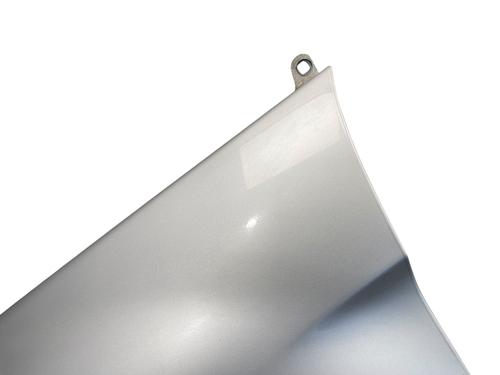 Left front fenders MERCEDES-BENZ B-CLASS Sports Tourer (W245) B 180 CDI (245.207) | BP25513484C41