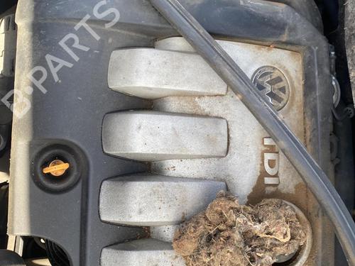 Headrest VW GOLF PLUS V (5M1, 521) 1.9 TDI | BP25532806I31  - Image 11