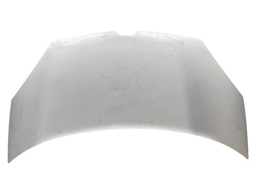 hood-renault-kangoo-express-fw01_-2008-32777915 main image