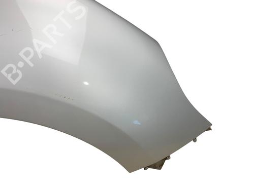 Right front fenders RENAULT SCÉNIC III (JZ0/1_) 1.5 dCi | BP25546087C42