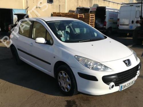 Hood PEUGEOT 307 (3A/C) 1.6 HDi 110 | BP25552862C1 