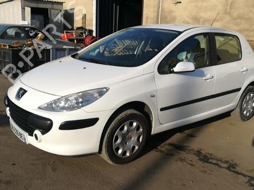 Hood PEUGEOT 307 (3A/C) 1.6 HDi 110 | BP25552862C1 