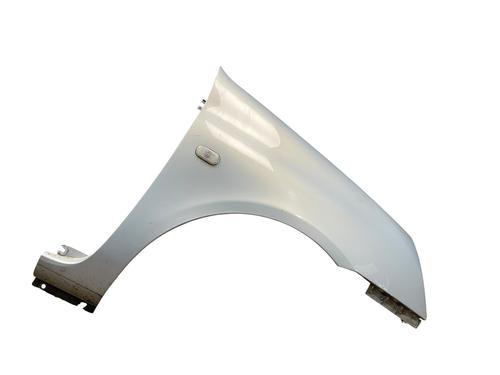Used Right front fenders RENAULT CLIO II (BB_, CB_) 1.5 dCi (B/CB07) (65 hp) 25499282