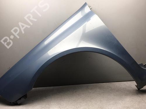 Used Left front fenders RENAULT LAGUNA II (BG0/1_) 1.9 dCi (107 hp) 25555597