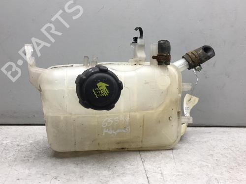 Used Expansion tank RENAULT MEGANE III Coupe (DZ0/1_) 1.6 dCi (DZ00, DZ12, DZ2A, DZ13) (130 hp) 25561469