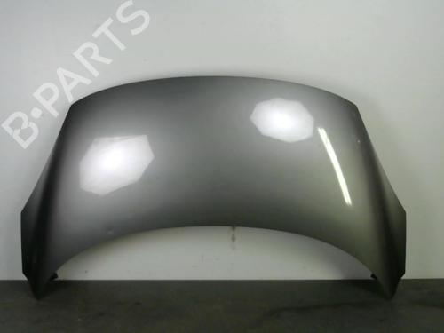 Used Hood RENAULT SCÉNIC III (JZ0/1_) 1.5 dCi (110 hp) 25579261